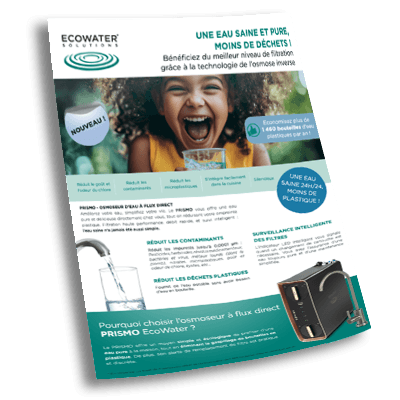 Brochure Prismo